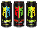 REIGN Total Body Fuel 1 x 500ml - gymstop